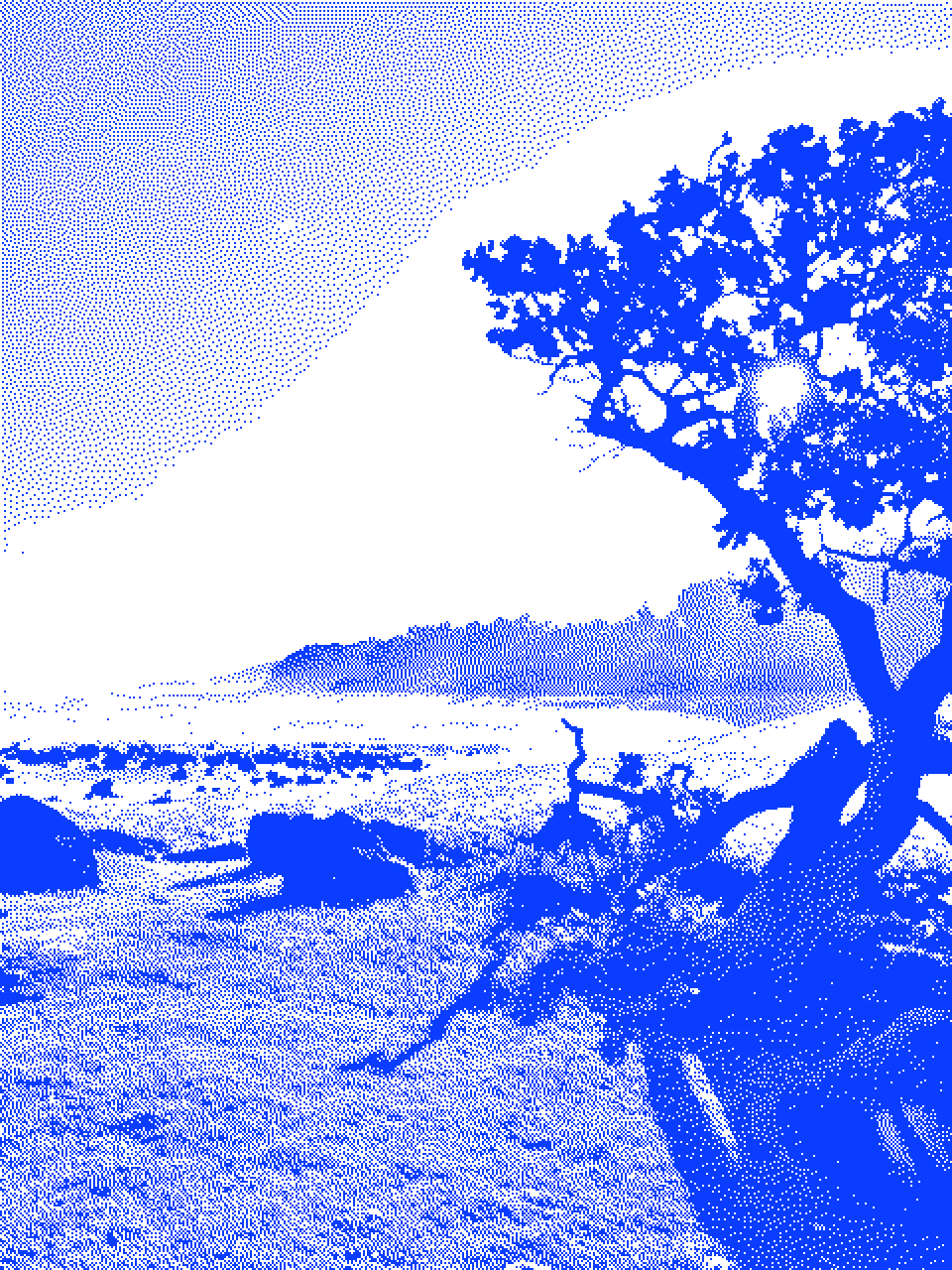 Blue stipple of a windswept tree on the Mauritian coast at sunset