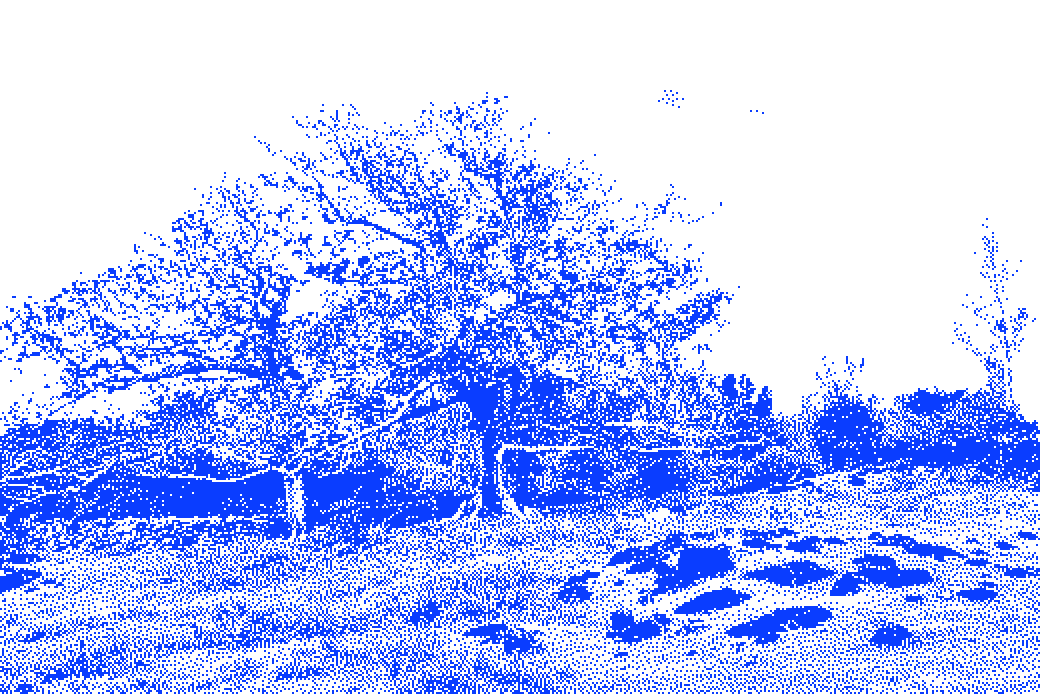 Blue stipple of flame trees on a grassy hill in Mauritius